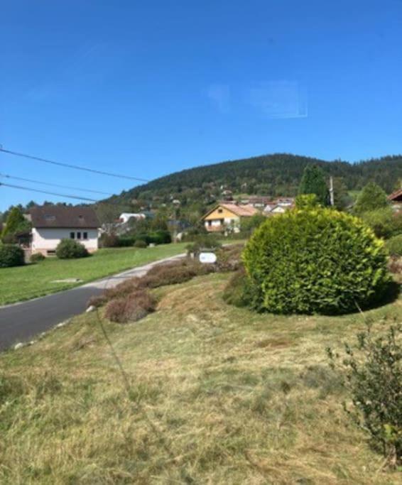Les Deux Maisons - Little Green - Maison Cosy Proche Pistes Et Lac 제라르메르 외부 사진